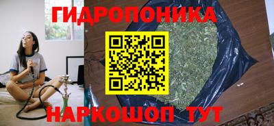 молекула духа Усть-Илимск